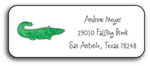 Kelly Hughes Designs - Address Labels (Green Gator) (a337)