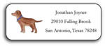 Kelly Hughes Designs - Address Labels (Best Friend) (a565)