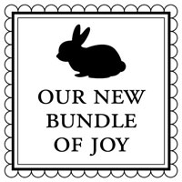 Three Designing Women - Mix n Match Clip Packs (Bundle)