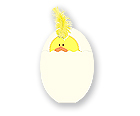 Checkerboard Rockabye Album - Peek-A-Boo Chick (AVA-FMR-P)