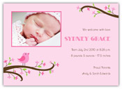Mayberry Design - Birth Announcements (Bird & Blooms - Photo) (1088-5la)