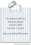Stacy Claire Boyd Birth Announcement - Baby Bunny Blue (53161)