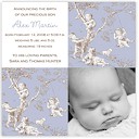 Digital Photo Birth Announcements by Take Note Designs - 5X5 square Blue Toile Block Photo Cardstock (TND-Q1064)