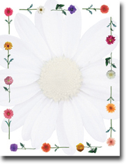 Masterpiece Studios Imprintable Blank Stock - Daisies Letterhead (972398)