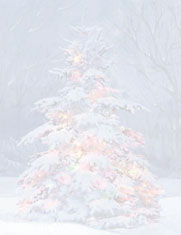 Masterpiece Studios Imprintable Blank Stock - Frosted Tree Letterhead  (970071)