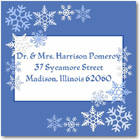 Name Doodles - Holiday Square Address Labels/Stickers (Snowfall)