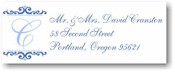 Name Doodles - Holiday Rectangle Address Labels/Stickers (Westbrook Blue)