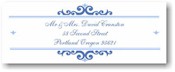 Name Doodles - Holiday Rectangle Address Labels/Stickers (Bellingham Blue)