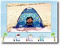 Blue Mug Designs Holiday Photo Cards - Beach Baby Blue