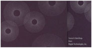 Checkerboard Corporate Holiday Greeting Cards - Radiant Holiday (HLC-HVJ-R)