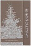 Checkerboard Corporate Holiday Greeting Cards - Stately Balsam (HLC-GCC-Q)
