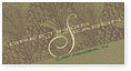 Checkerboard Corporate Holiday Card - Evergreen (HLC-BDO-Y)