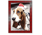 Checkerboard Holiday Photo Card - Haute Couture (HLP-SBT-F)