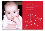 Checkerboard Holiday Photo Card - Berries (HLP-EMX-G)