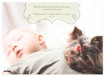 Checkerboard Digital Holiday Photo Cards - Too Much Excitement (HLG-IJI-J)