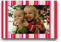 Dinky Designs Holiday Cards - Pointsettia Stripes