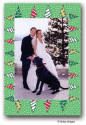 Dinky Designs Holiday Cards - Prancing Pines