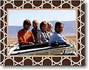 Boatman Geller Holiday Photo Card - Bamboo Rings Brown (17619)