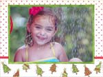 Noteworthy Collections - Holiday Photo Cards (Teeny Tiny Trees) (NWPE201)