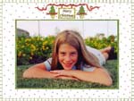 Noteworthy Collections - Holiday Photo Cards (Merry Christmas Trees) (NWPH2604)