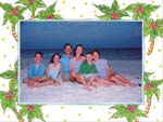 Noteworthy Collections - Holiday Photo Cards (Festive Palm Trees) (NWPH2616)