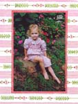 Noteworthy Collections - Holiday Photo Cards (Ornamental Wallpaper) (NWPH2623)