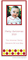 Stacy Claire Boyd Holiday Photo Card - Christmas Razzle Dazzle (Blue Trees Album #80139)