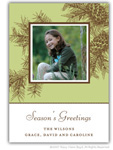Stacy Claire Boyd - Holiday Imagitation Photo Cards (In The Pines) (80181)