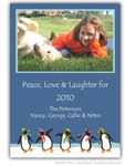 Stacy Claire Boyd - Holiday Imagitation Photo Cards (Penguin Parade) (80184)