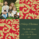 Take Note Designs - Gold Leaves Evergreen Block Photo Cards (TND-U0315)