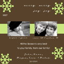 Take Note Designs - Chocolate and Green Snowflake Band 5X5 Photo Cards