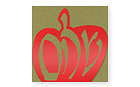 Checkerboard Jewish New Year Cards - Sparklin' Shalom Apple (HNY-CQK-G)