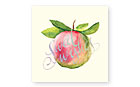 Checkerboard Jewish New Year Cards - Picked For Sweetness (HNY-HDB-P)