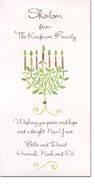 Checkerboard Jewish New Year Cards - Botanical Menorah (HNY-DTB-B)
