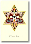Indelible Ink Jewish New Year Cards - Shalom