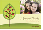 Spark & Spark Jewish New Year Cards (Pomegranate Branches)