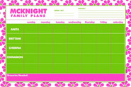 Devora Designs - Magnetic Planners (Pink Daisies) (PFP-03)