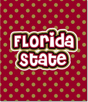 Plush College Blankets - Florida State