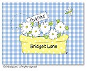 Dinky Designs Foldover Notes - Daisy Flower Box (NCV-129D-SP)