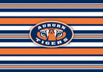 Noteworthy College Folded Note Stationery - Auburn Tiger Eyes (CFN515)