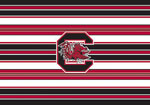 Noteworthy College Folded Note Stationery - South Carolina Gamecocks (CFN523)