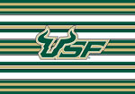 Noteworthy College Folded Note Stationery - South Florida (CFN573)