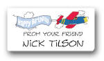 Dinky Designs Gift Stickers - Plane With Birthday Banner (107P)