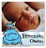 Dinky Designs Gift Stickers - Hippo Birdie With Photo (Square) (SQ1PW-781H)