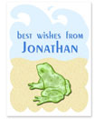Name Doodles - Large Rectangle Gift Stickers (Splashy Frog) (OTSA-G5)