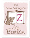 Name Doodles - Large Rectangle Gift Stickers (Whimsical Mouse Pink) (WAI-G12)