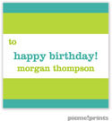 PicMe Prints - Gift Stickers - Bold Bands Turquoise/Chartreuse - NO MOTIF (SCQME2381)