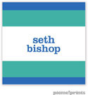 PicMe Prints - Gift Stickers - Bold Bands Ocean/Turquoise - NO MOTIF (SCQME2382)