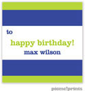 PicMe Prints - Gift Stickers - Bold Bands Chartreuse/Cobalt (SCQME2384)