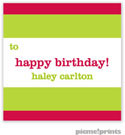 PicMe Prints - Gift Stickers - Bold Bands Watermelon/Chartreuse (SCQME2386)